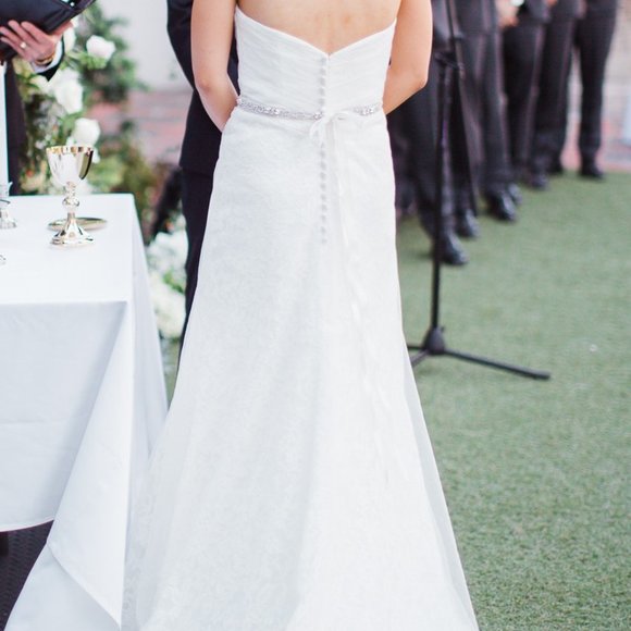 Michelle Roth Sage Wedding Dress - Picture 4 of 8